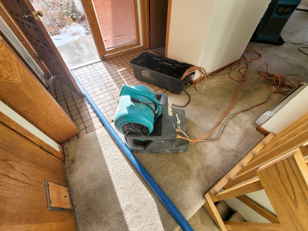 Best Water damage restoration near me  in Unionville, GA