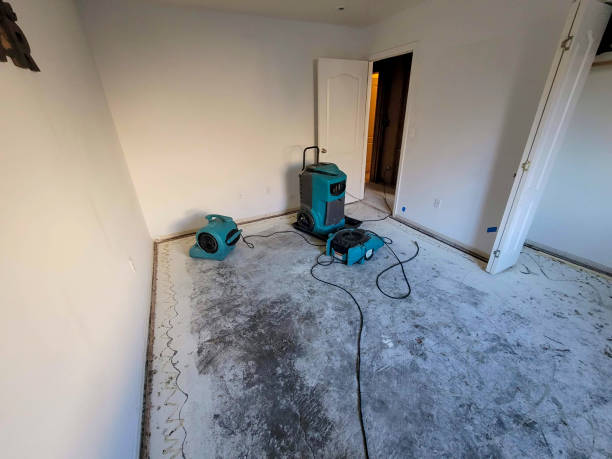 Best Water damage cleanup near me  in Unionville, GA