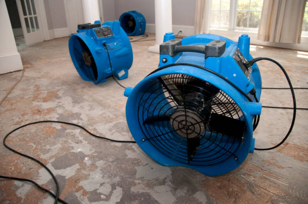 Best Water damage restoration near me  in Unionville, GA