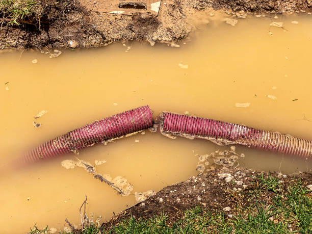 Professional Water damage restoration in Unionville, GA